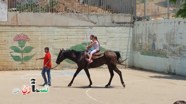 كفرقاسم - فيديو  : تعليم هواية ركوب الخيل في مدرسة جنة ابن رشد في اليوم الرابع لصيف الصادقة 